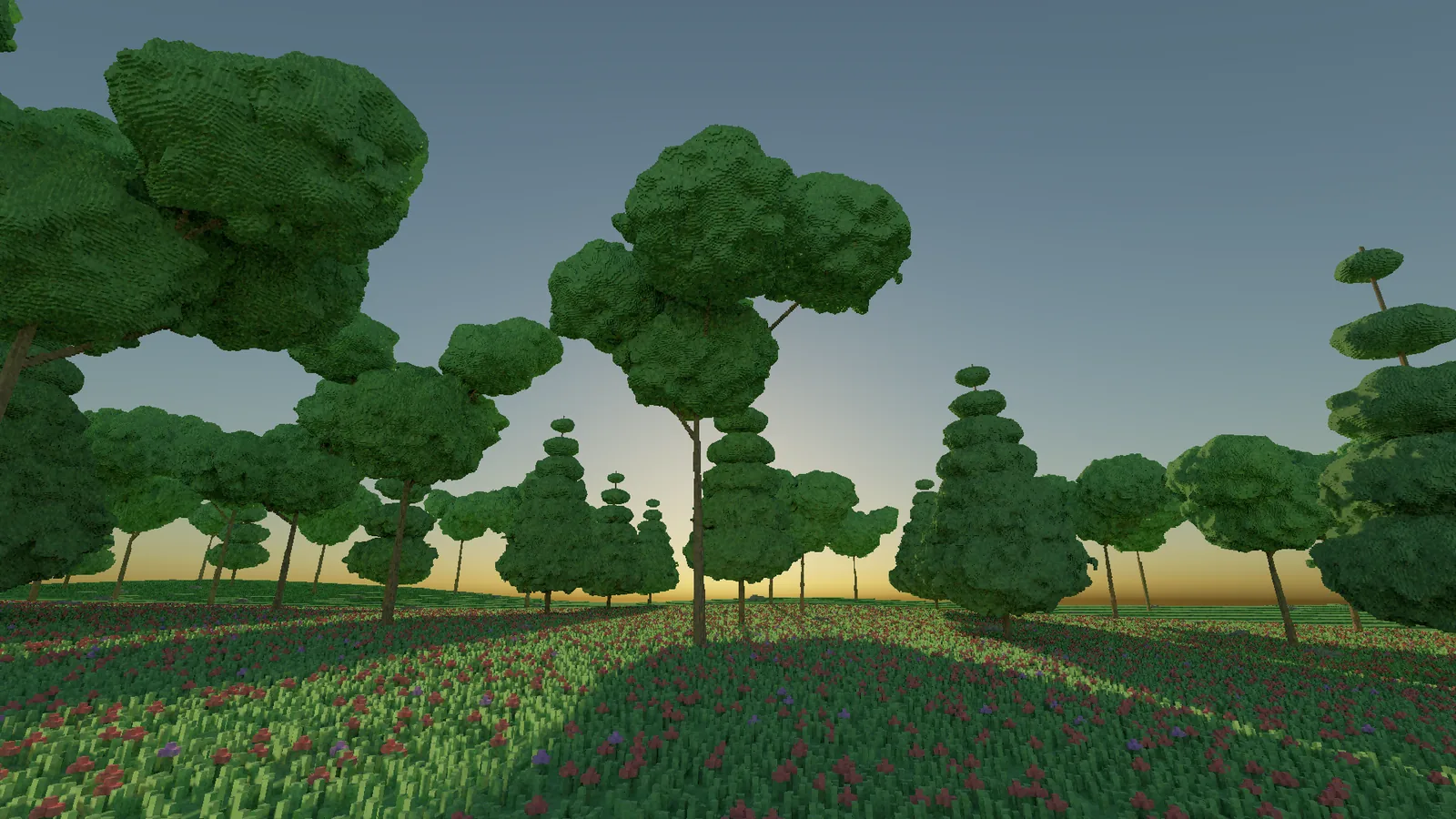 Broadleaf and conifer trees against a low sun, the grass in the foreground lit through from behind.