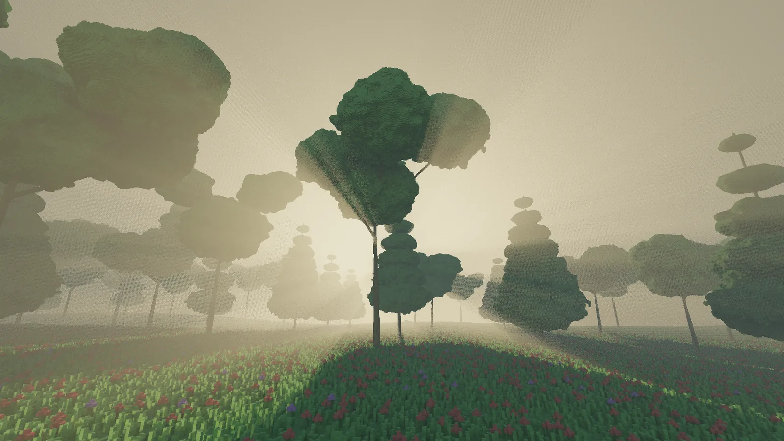 Shafts of warm light fanning through the gaps between tree crowns across a hazy meadow at golden hour.