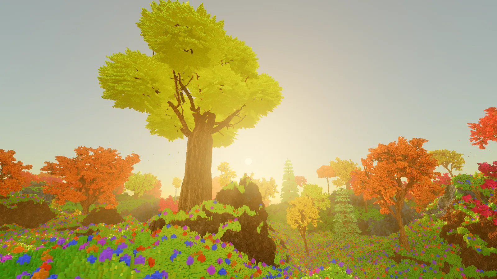A lime green tree backlit by a low sun, with autumn trees and a flower meadow around it.
