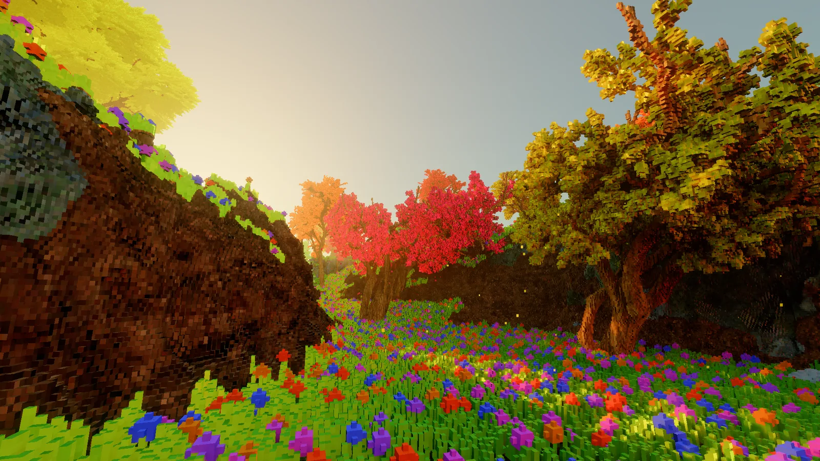 Inside the forest: an earth bank on the left, flowers in the foreground and autumn trees in red, orange and green under a low sun.