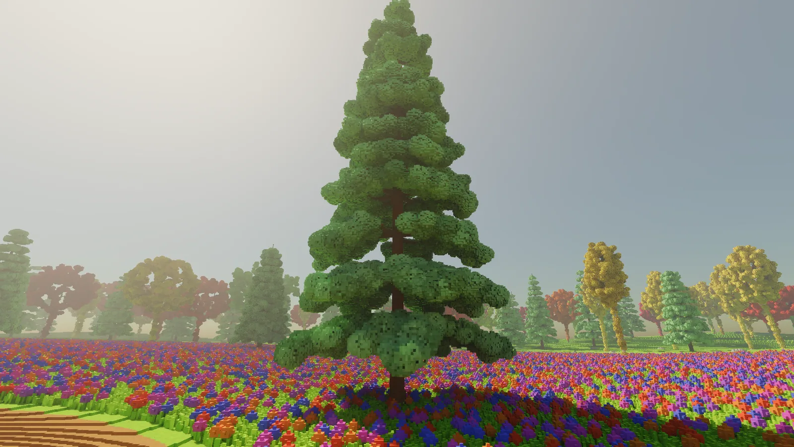 A conifer with tiers of dark green drooping branches.