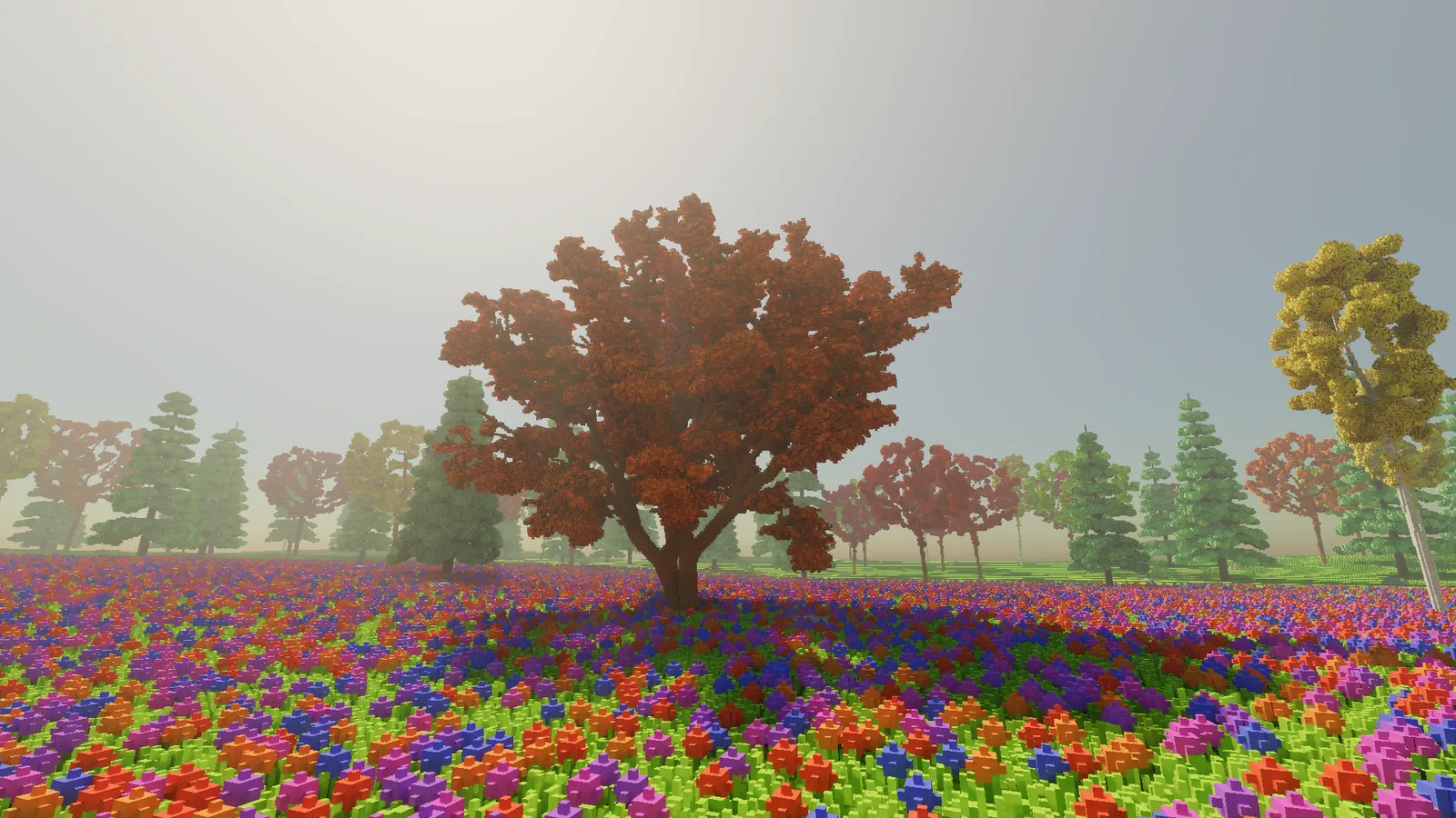 A large spreading tree with a deep red crown standing alone in the meadow, with conifers and a golden birch behind it.
